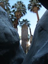 by roaming_reas, Views[269]