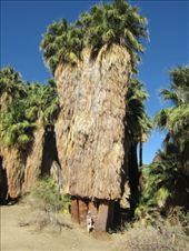 by roaming_reas, Views[252]