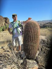 by roaming_reas, Views[295]