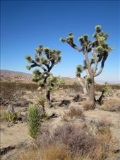 by roaming_reas, Views[226]