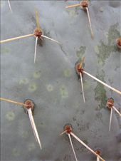 by roaming_reas, Views[174]