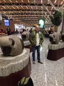 Leaving Calgary,
Bison sculptures representing recent return of herd to Banff: by roaming_reas, Views[344]
