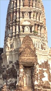 by roaming_reas, Views[311]