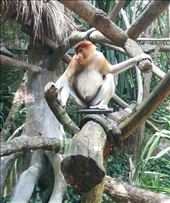 by roaming_reas, Views[316]