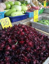 by roaming_reas, Views[204]