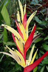 by roaming_reas, Views[495]