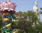 by roaming_reas, Views[583]