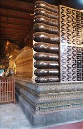 by roaming_reas, Views[476]