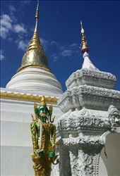 by roaming_reas, Views[211]