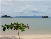 by roaming_reas, Views[201]