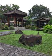 by roaming_reas, Views[163]