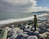 by roaming_reas, Views[187]