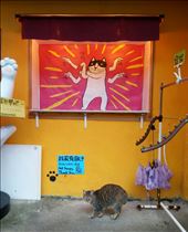 by roaming_reas, Views[101]