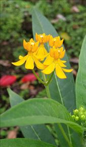 by roaming_reas, Views[117]