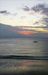 by roaming_reas, Views[240]