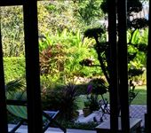 by roaming_reas, Views[238]