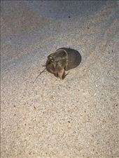 by roaming_reas, Views[460]