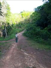 by roaming_reas, Views[164]