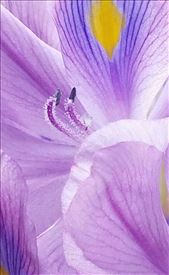 by roaming_reas, Views[344]