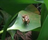 by roaming_reas, Views[217]