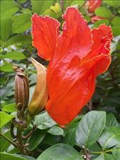 by roaming_reas, Views[424]