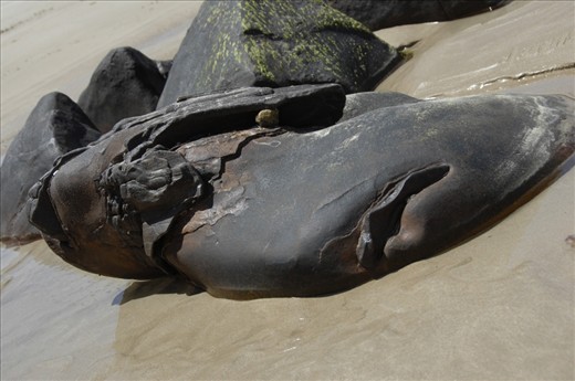 Here, the last remnants of minerals which were once perhaps part of a larger formation. And interestingly form an image which tells another story in a sense.