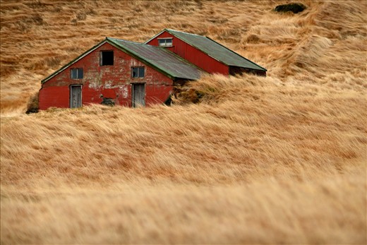 Abandoned in the wind swept grasses
