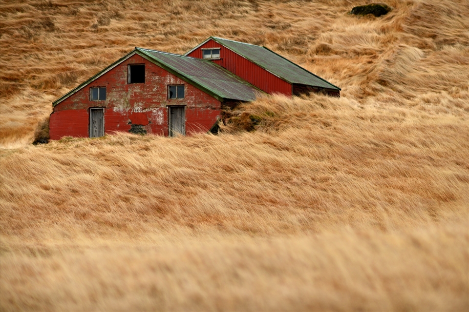 Abandoned in the wind swept grasses
