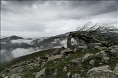 mountain top after a long climb up, only me, this tree and the hammering wind: by robertozampino, Views[486]