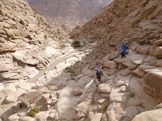 Under August heat in Wadi Bugiya, biologist Jill Carpenter, of Operation Wallacea, is followed by her Egyptian volunteer assistant as they head towards Wadi Itlah to meet up with Jebeliya bedouin guide, Nasr, who is attending to his own garden. During Ramadan, neither Nasr or the assistant can consume water or food during daylight hours. On August 8, 2010, the three mist netted at El Halwa garden, a repository of herbal knowledge maintained and advanced by respected traditional herbalist and healer Dr. Ahmed Mansour. 