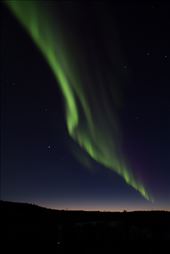 The Dance Begins: by robynlwatson, Views[233]