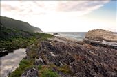 The ragged winter coastline of the Otter Trail hike in South Africa: by robynschaffner, Views[359]