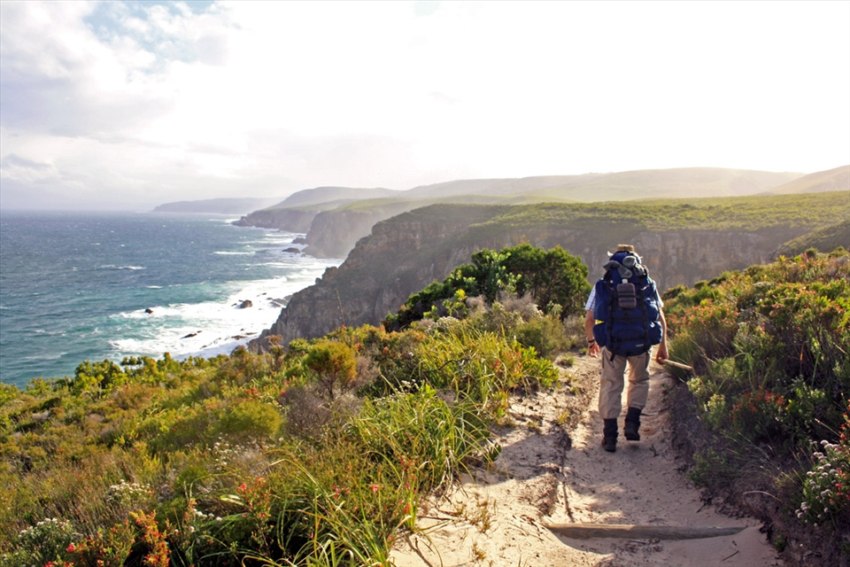 My father, the leader of countless hikes, sets off into the sunlight before me