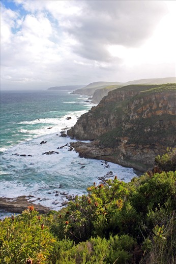 A break in rain and the sun brings with it a steamy bit of colour