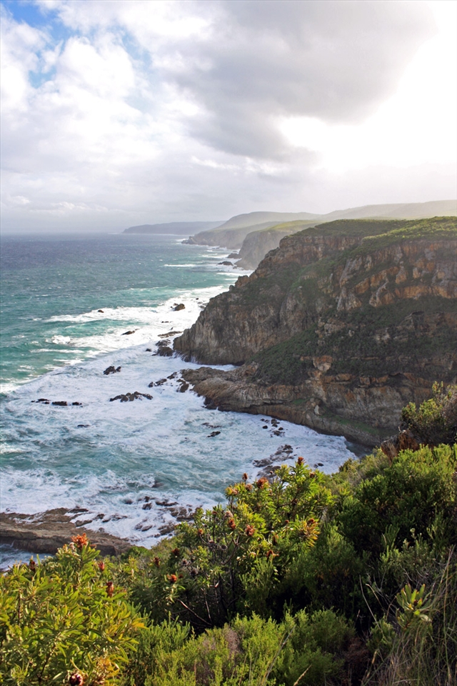 A break in rain and the sun brings with it a steamy bit of colour