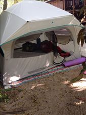 by robynway, Views[110]