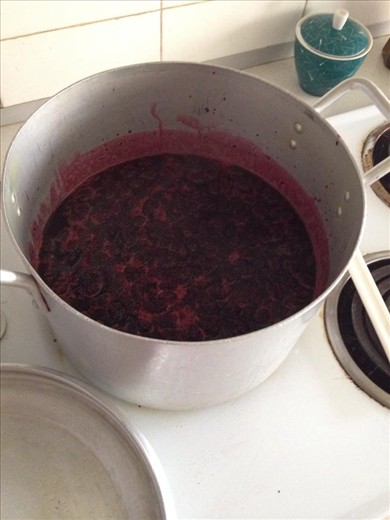 Squish the juices out the Mulberries and heat until just before boiling point