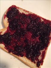 Enjoy your mulberry jam on toast: by rochelle, Views[276]