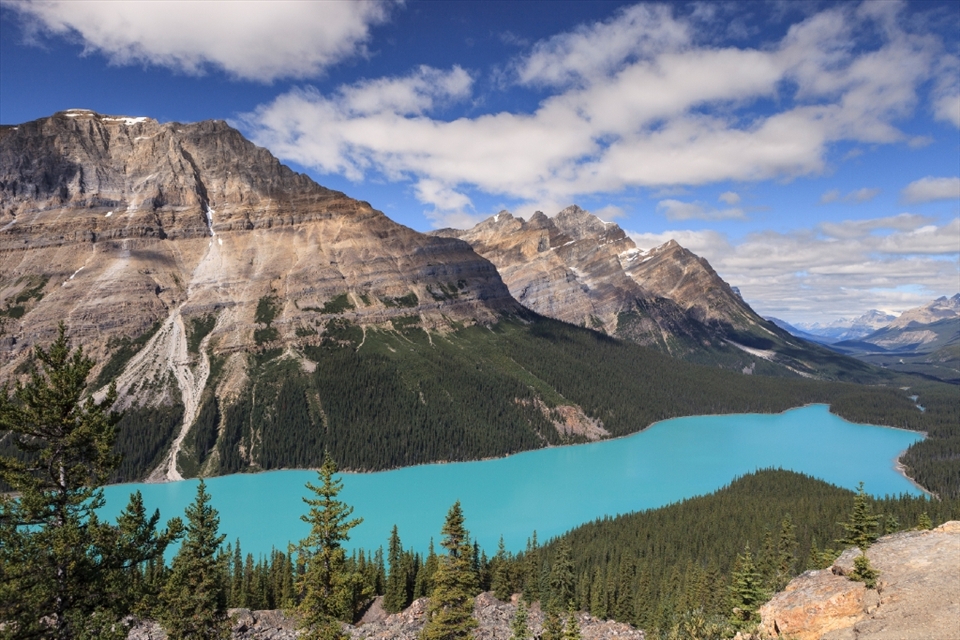 The amazing Peyto Lake, with his incredible color, and its dog-head shape, is surely one of the most beautiful lakes all around the world. A magical spot for photography.