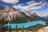 The amazing Peyto Lake, with his incredible color, and its dog-head shape, is surely one of the most beautiful lakes all around the world. A magical spot for photography.: by rockies, Views[1553]