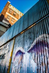 The beauty of Los Angeles lies in all the hidden corners of the city.
: by rocky, Views[251]