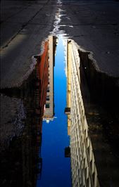 There is always something marvelously unexpected in the alleys of Downtown Los Angeles.
: by rocky, Views[189]
