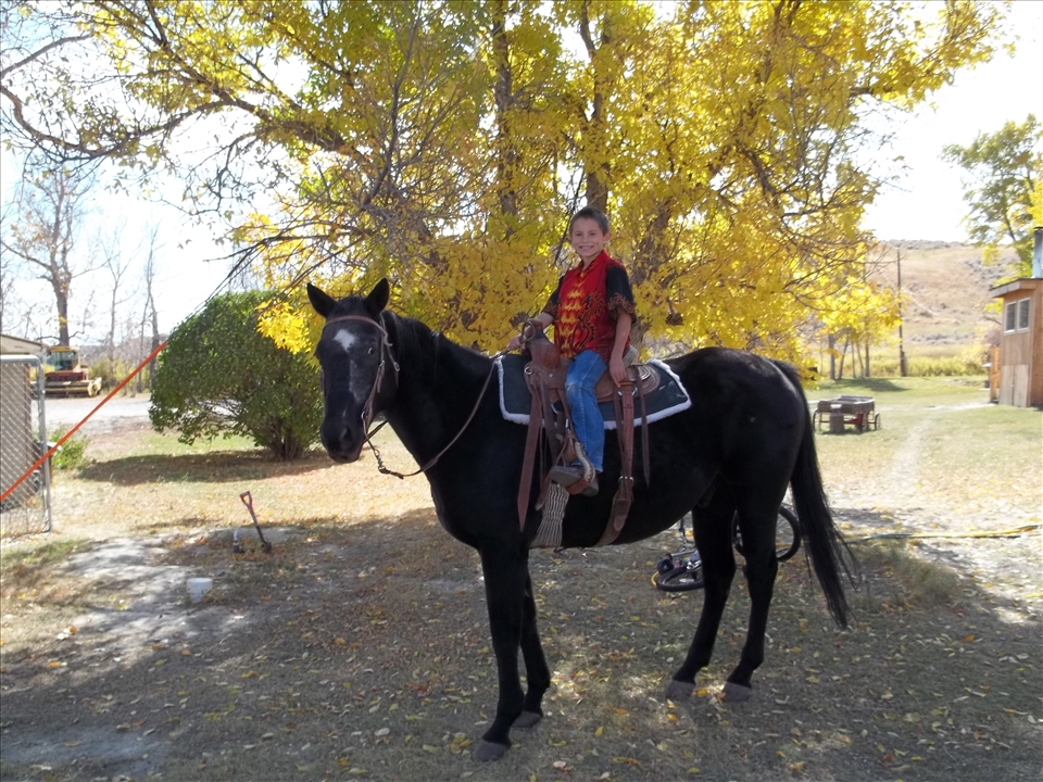 My Cousin on his horse