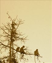 by rockywildman, Views[183]