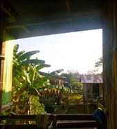 by rockywildman, Views[185]