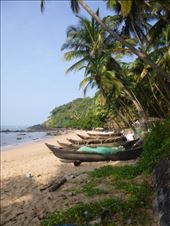 by rockywildman, Views[179]