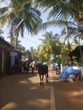 by rockywildman, Views[176]