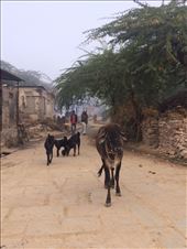 by rockywildman, Views[150]