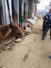 by rockywildman, Views[155]