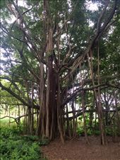 by rockywildman, Views[149]